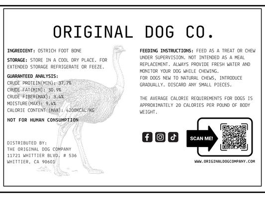 Air-Dried 14-16" Ostrich Foot Bone