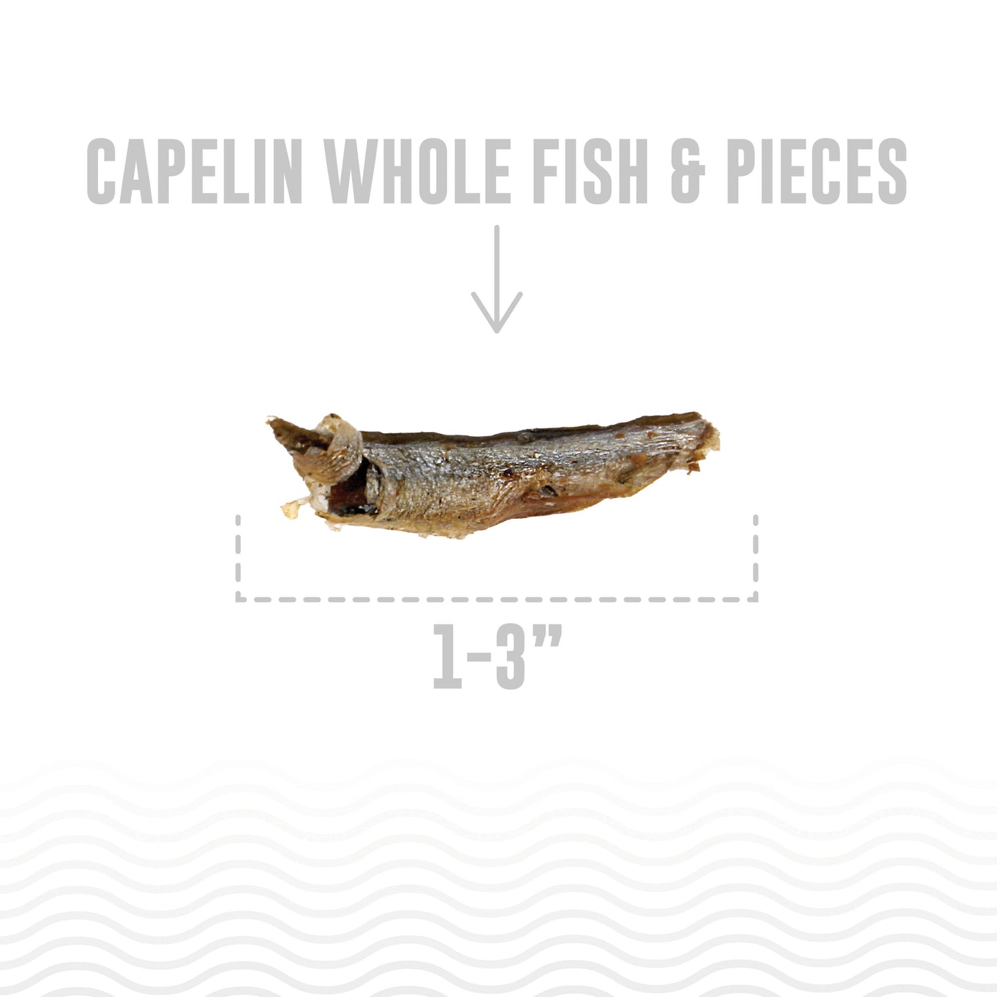 Icelandic+ Capelin Whole Fish & Pieces