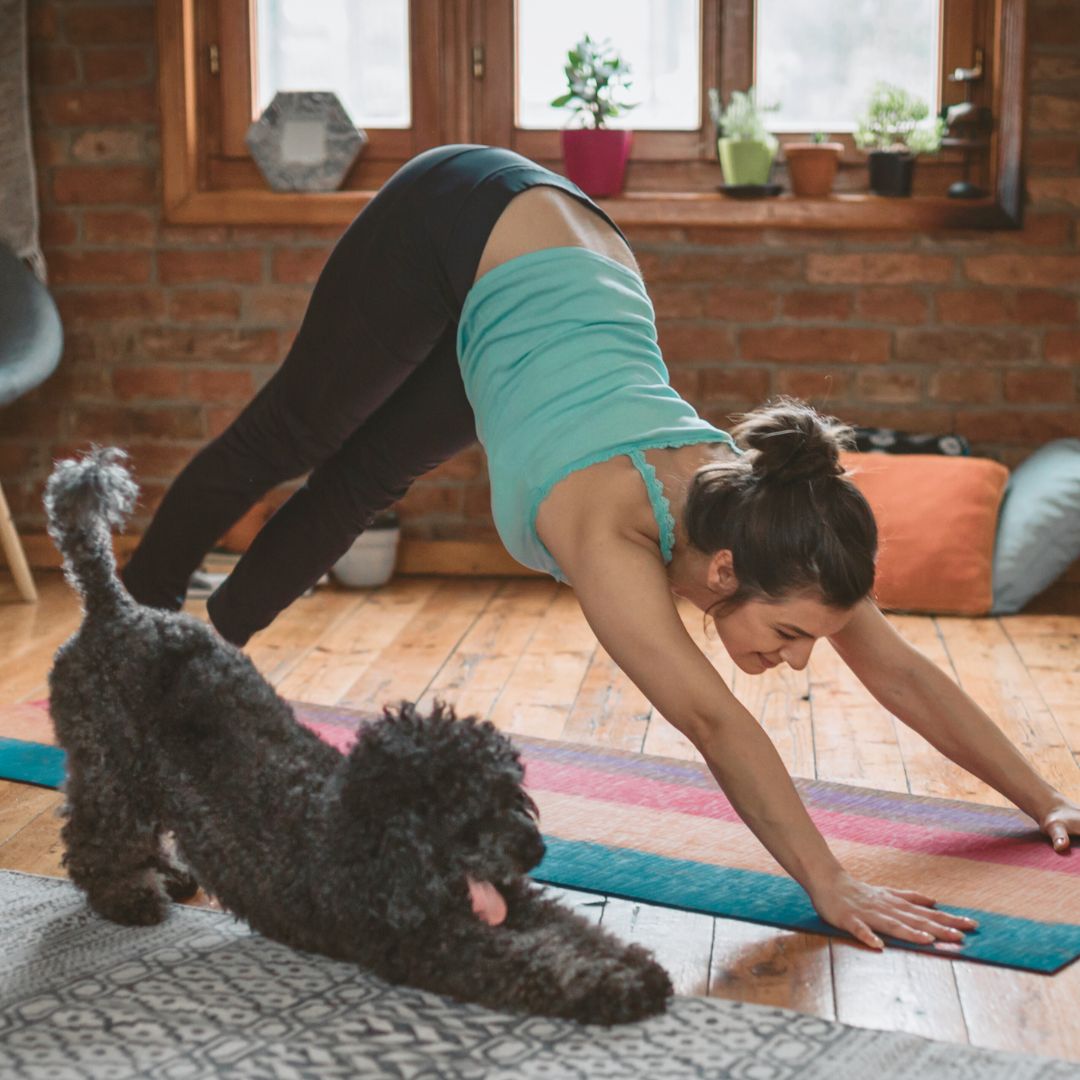 an image of a dog and woman practicing yoga