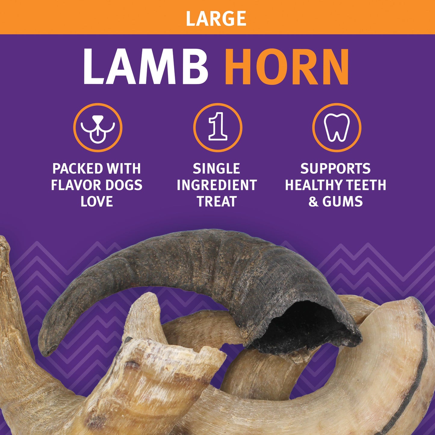 Icelandic+ Large Lamb Horn