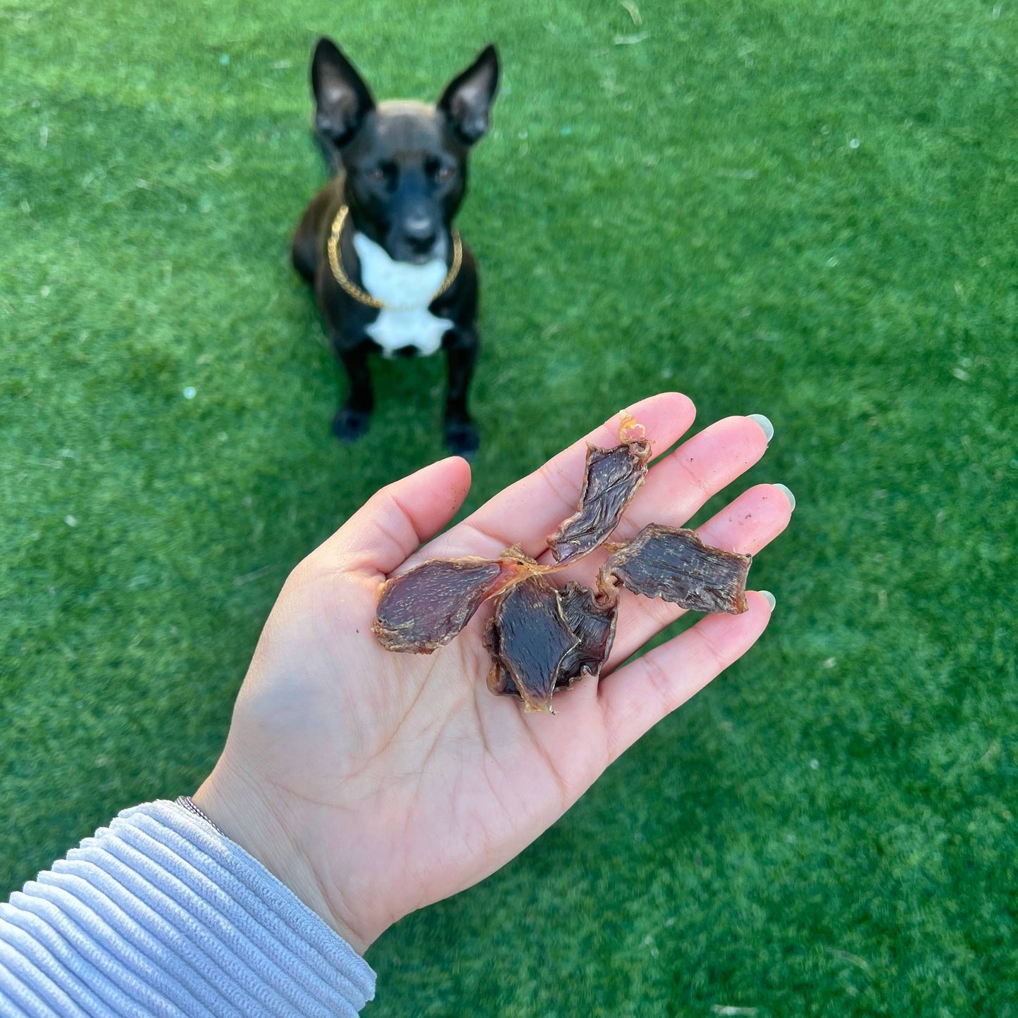 Air-dried Turkey Gizzard