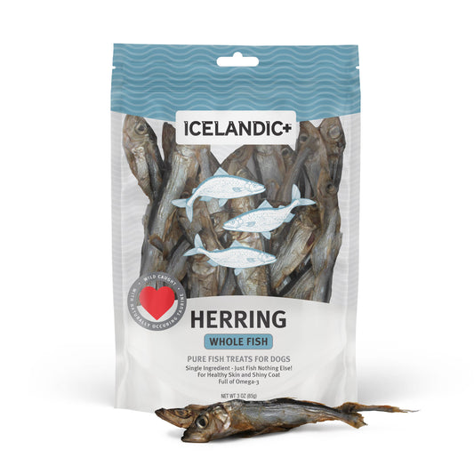 Icelandic+ Herring Whole Fish