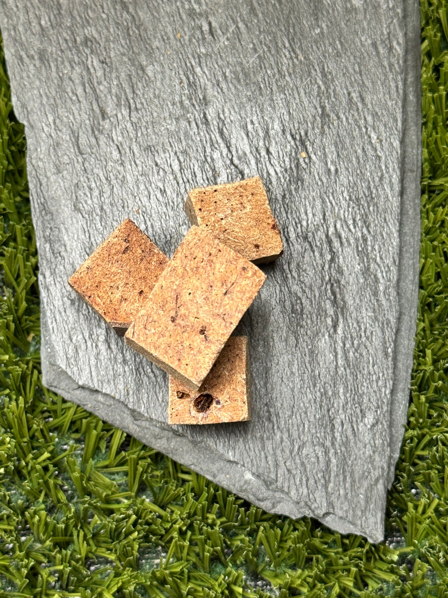 Freeze-Dried Bison Liver