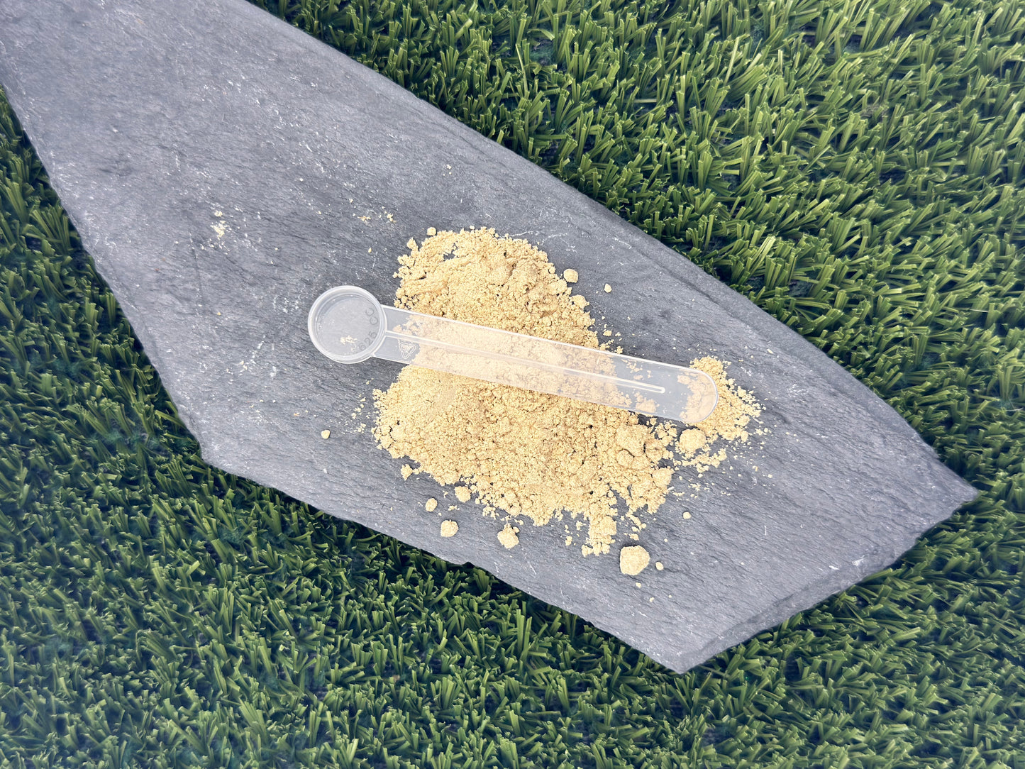 Freeze-Dried Green Lipped Mussel Powder