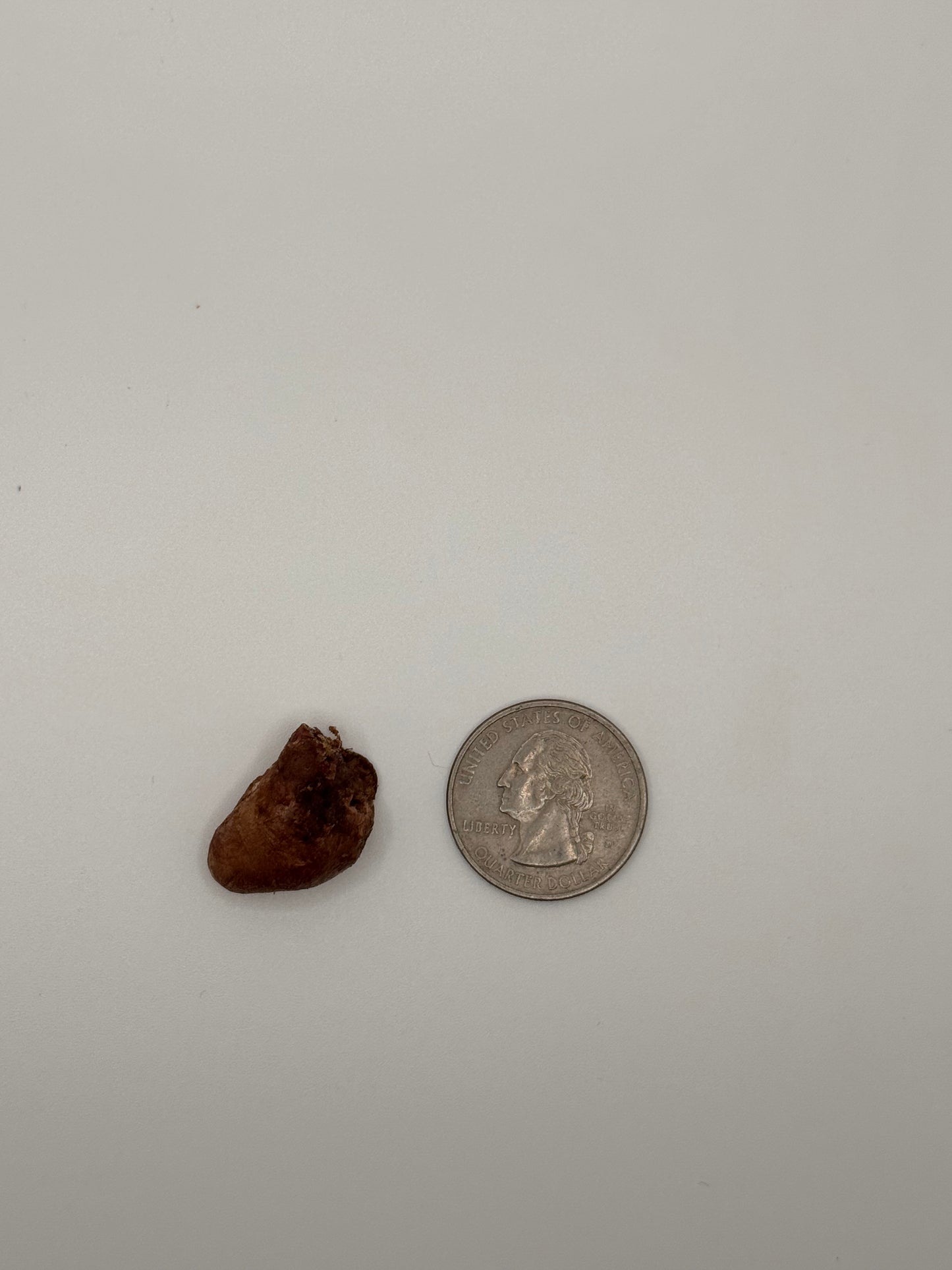 Freeze-Dried Quail Hearts