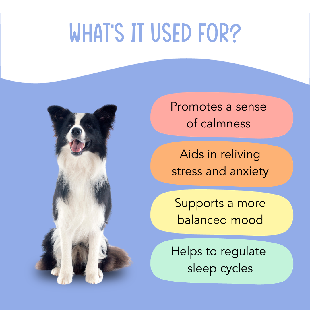 Calming Dog Supplement