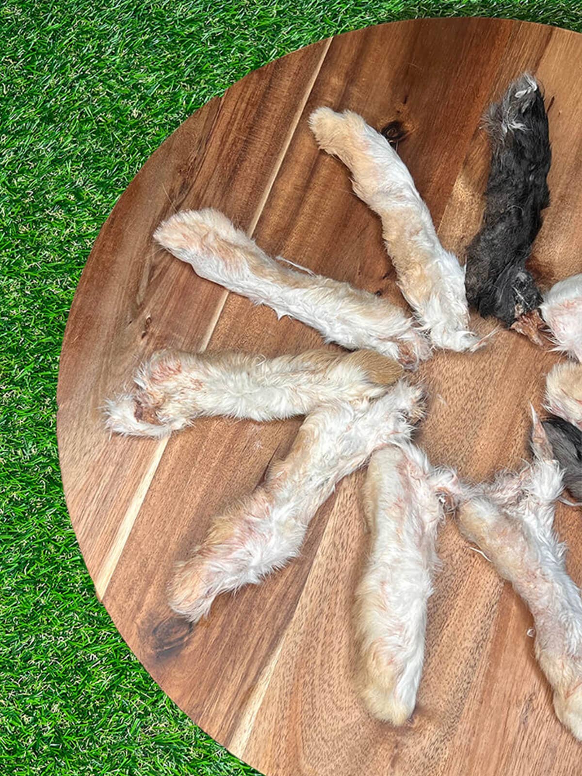 Rabbit Feet