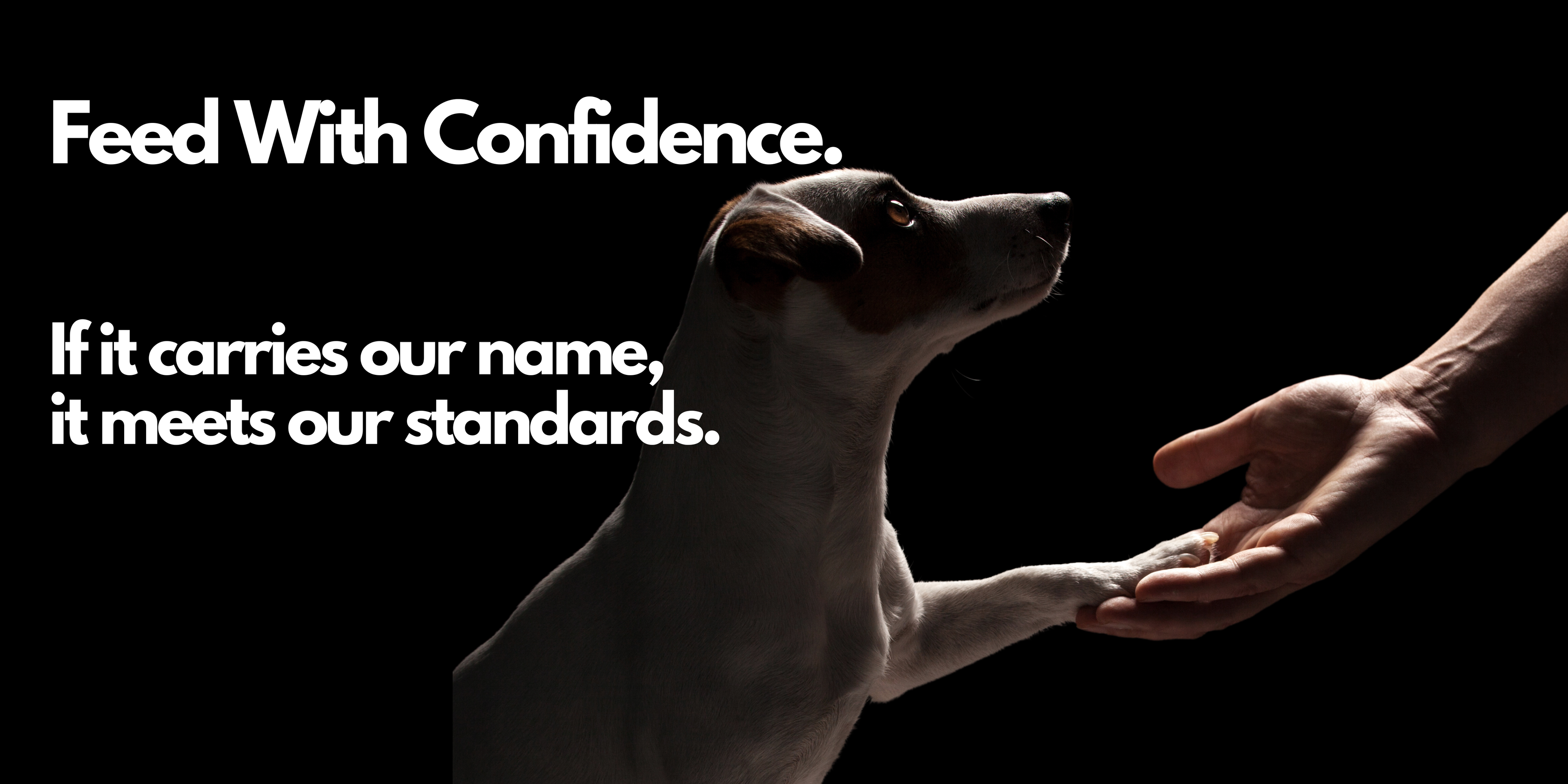 Dog reaching towards a hand with text about confidence and standards on a black background