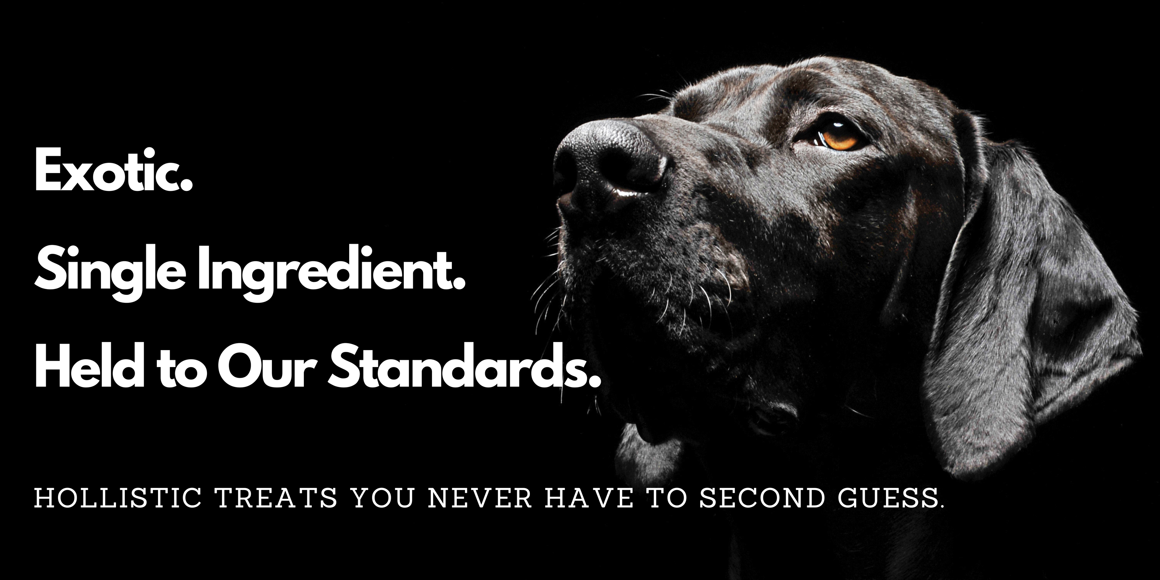 Black background image featuring two dogs with overlay text about exotic, single ingredient dog treats from The Original Dog Company.