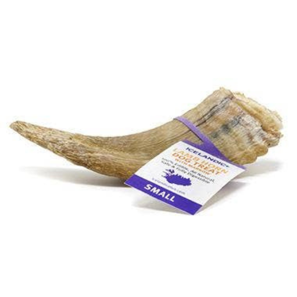 Small lamb horn dog chew, a natural, long-lasting treat for dogs to promote chewing and dental care.